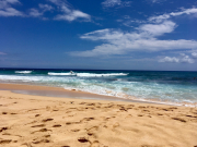 2017-04-24-12.52.55-1